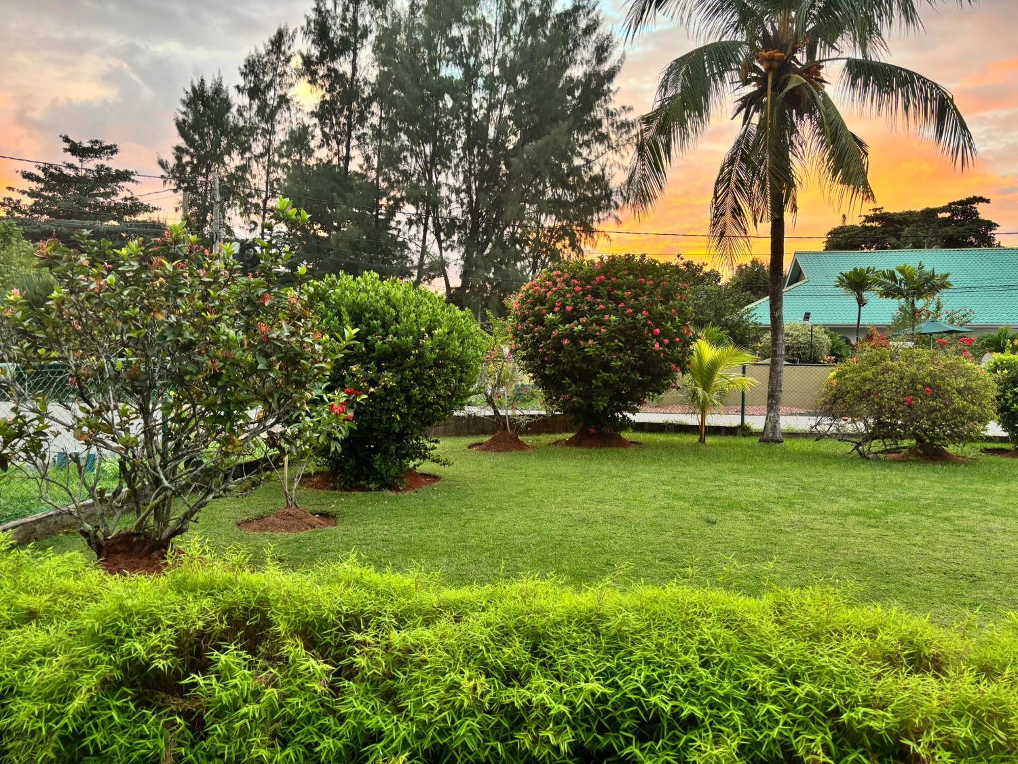 Apartmán Casa Bilimbi Victoria Exteriér fotografie